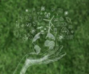 Digital Economy and Eco Responsibility