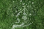Digital Economy and Eco-Responsibility: A Common Commitment to Greening Africa