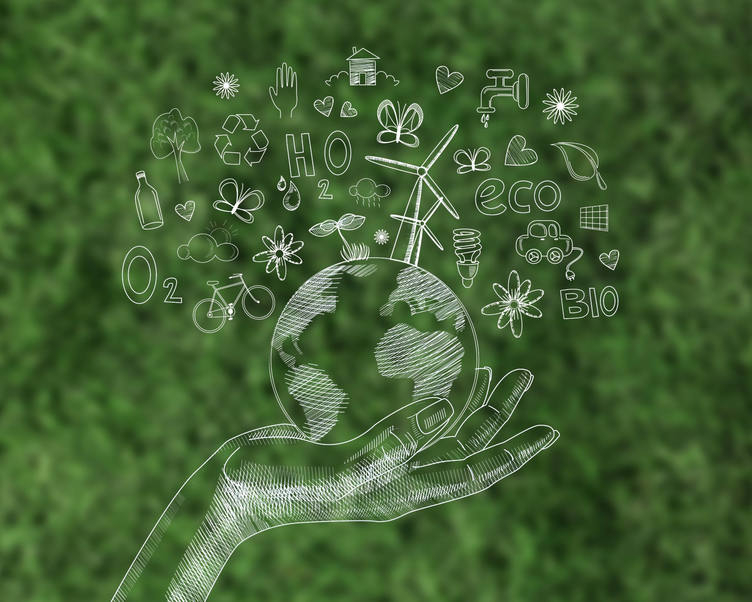 ecran numerique avec journee de l environnement scaled